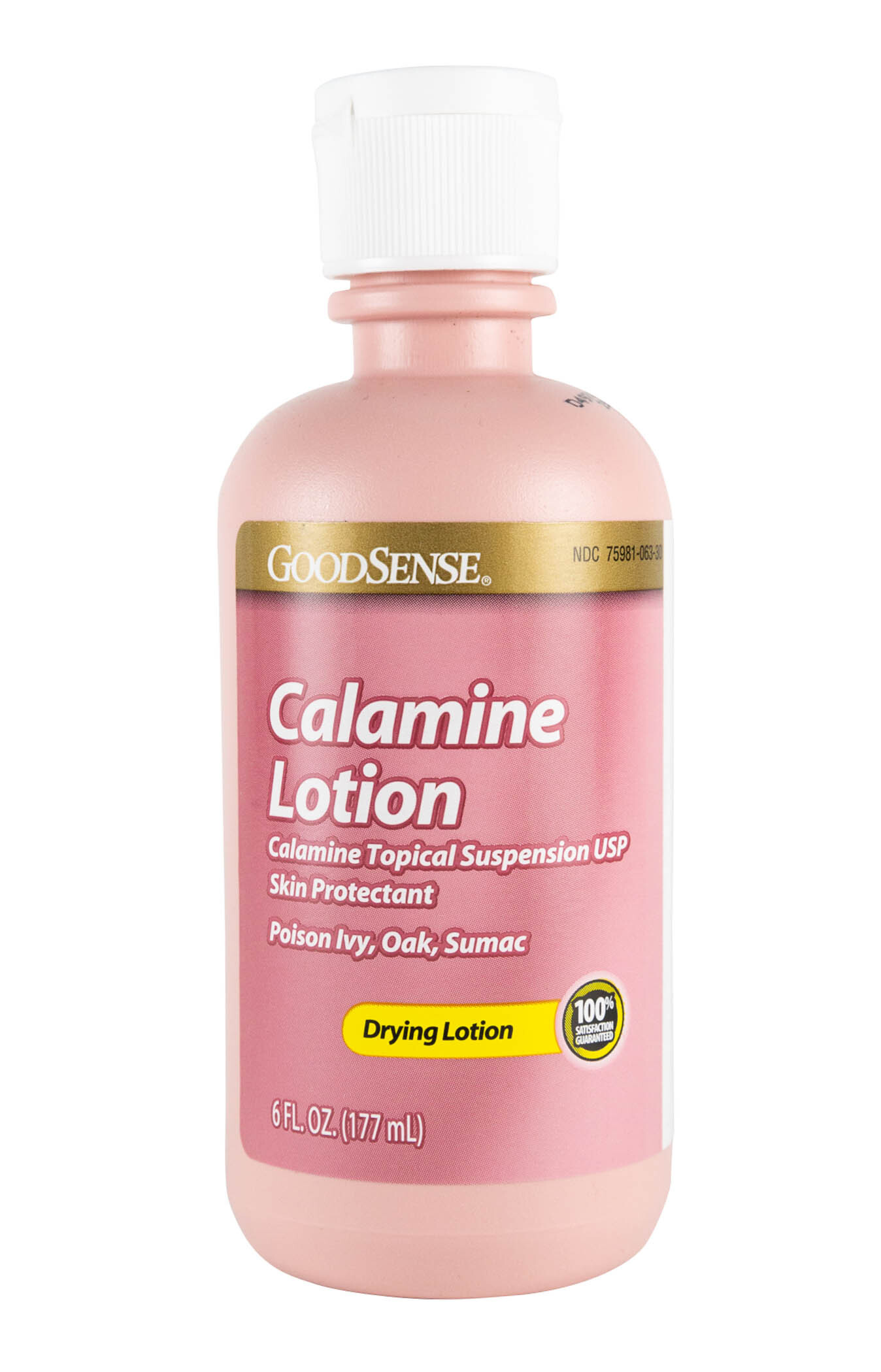 Equate Calamine Lotion For Itching And Rash Relief