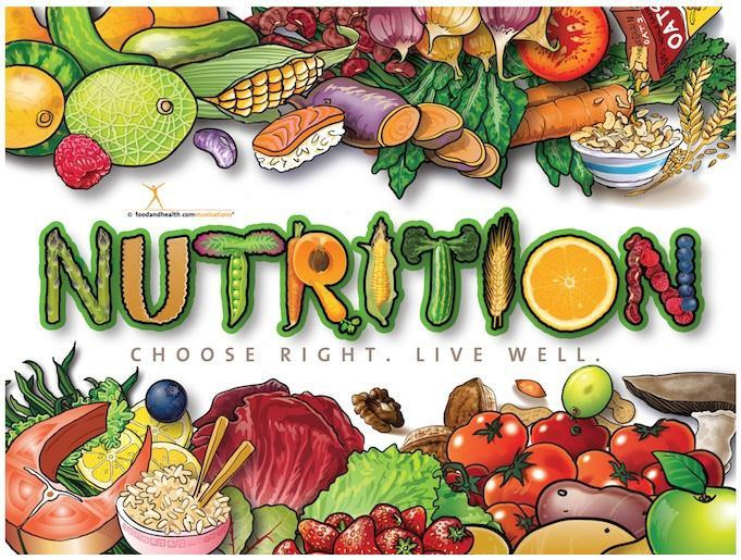 healthy nutrition education