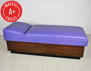 [$] Lindsay Recovery Couch with Base, No Drawers